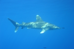 USB_Stick 2012 005