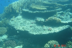 USB_Stick 2012 099
