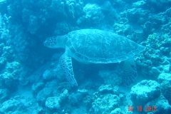 USB_Stick 2012 104