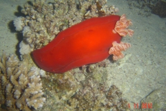 USB_Stick 2012 108